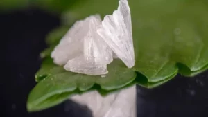 cbd isolate