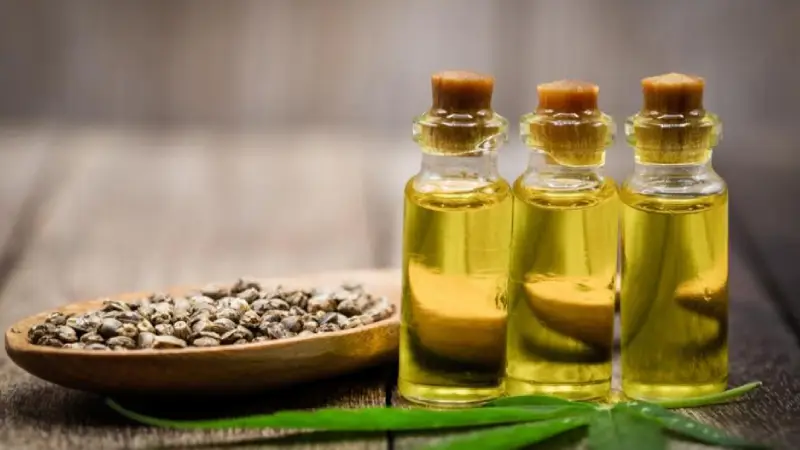 cbd oil, hemp oil, and hemp extract