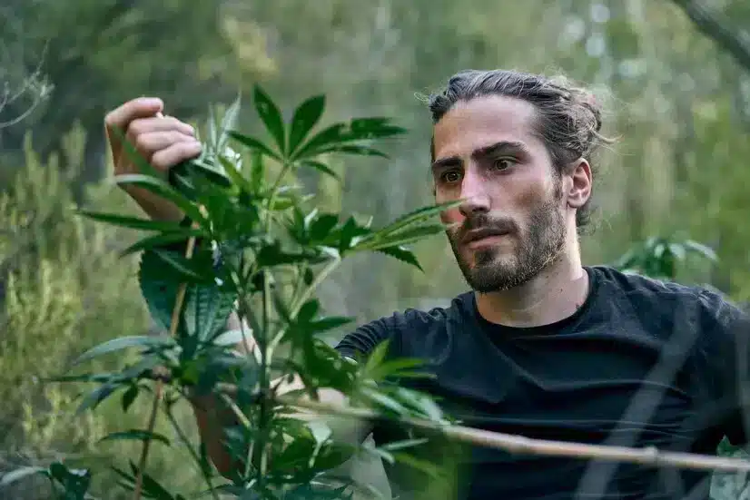 a guy holding cbd cannabinoids